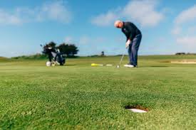 Image result for Palewell Pitch & Putt Golf Club