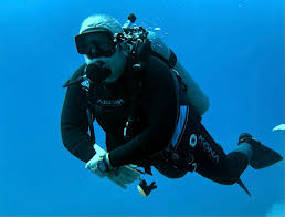 Image result for Blue Water Diving