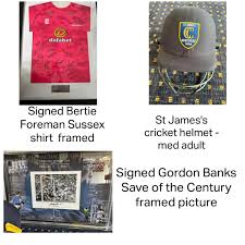 Image result for St James casuals cricket club