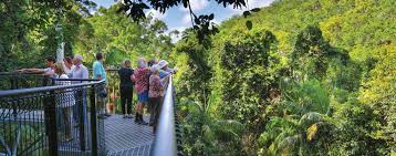 「Mt. Tamborine」的圖片搜尋結果