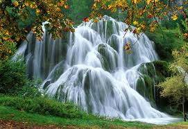 http://t0.gstatic.com/images?q=tbn:ANd9GcTLshMoUVqGRDaGcpUzWCJrkK9Edf87GYvi1gOffILH8_3x663w