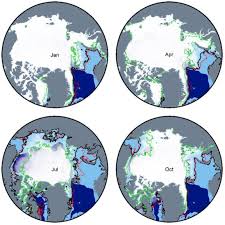 Image result for Arctogadus glacialis