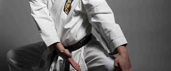 Image result for Eurokwai Shotokan Karate Club