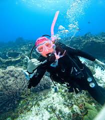 Image result for Scuba Fun