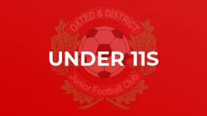 Image result for Oxted & District Junior Fc