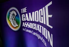 Image result for St Rita`s Camogie Club