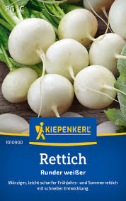 Image result for Rettich