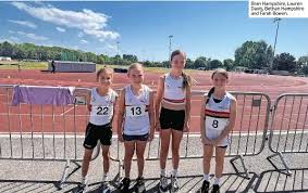 Image result for Pembrokeshire Harriers
