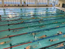 Image result for Maidenhead Marlins Swimming Club