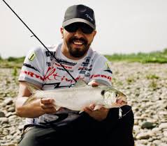 Image result for Alosa fallax