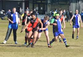 Image result for Eltham Panthers