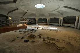 Image result for 土井ヶ浜遺跡　視線　故郷