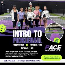 Image result for Paces Badminton Club