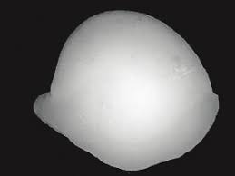 Image result for Bagre marinus