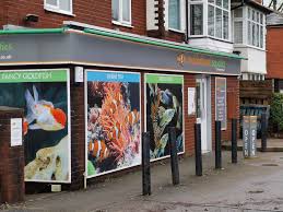 Image result for City of Preston Aquatics