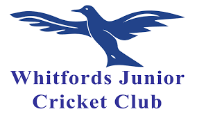 Image result for Winford Cricket Club