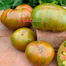 Afbeeldingsresultaat voor stump of the world tomato