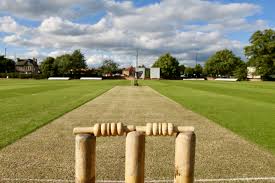 Image result for Timperley Lacrosse Club