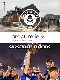 Image result for Patrick Sarsfield Gaelic Athletic Club