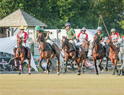 Image result for Cambridge and Newmarket Polo Club
