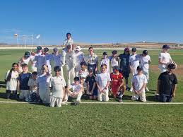 Image result for Walmley Cricket Club