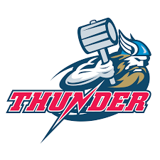 Image result for Chiltern Cheetahs American Football Club