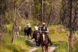 Image result for Abinger Forest Riding Club