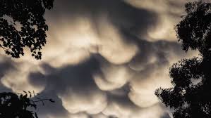 Attēlu rezultāti vaicājumam “Mammatus”