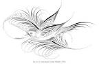 Lessons - Flourishing