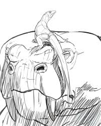 Attēlu rezultāti vaicājumam “Lycogala convexum young”