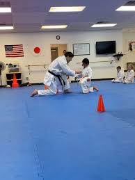 Image result for Thatcham Wado Karate Club