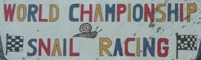 Image result for World Snail Racing Championships