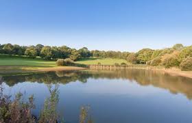 Image result for Fleet Cc