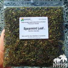 Attēlu rezultāti vaicājumam “Mentha spicata leaf”