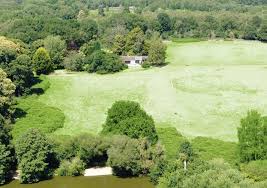 Image result for Guildford Angling Society