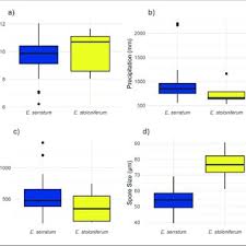 Attēlu rezultāti vaicājumam “Ephemerum serratum”