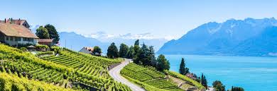 Image result for Austerlands Institute