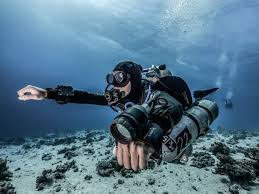 Image result for Headstream Divers