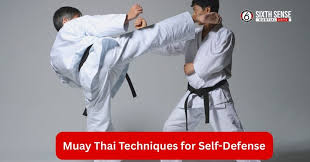 Image result for Combined self defence arts