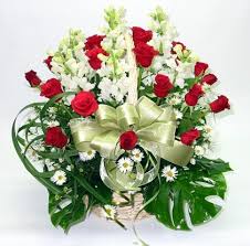 http://t0.gstatic.com/images?q=tbn:ANd9GcTM1TwHIJfP7MrPlOf-3-lZUmRkkYYU-wRNljjzIWuwVvDZ_ZkH