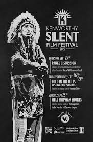 Image result for Thames Valley Silent Flyers