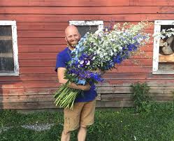 Image result for Delphinium