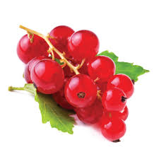 Attēlu rezultāti vaicājumam “Ribes rubrum fruit”