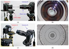 Attēlu rezultāti vaicājumam “Conardia compacta macro”