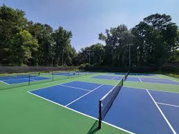 Image result for Sandford Tennis Club