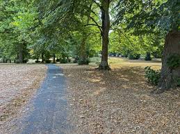 Image result for Ashcombe Bowls Club