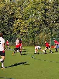 Image result for Old Kingstonian Hockey Club
