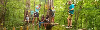 Image result for The Go Ape Experience (Swinley Forest)