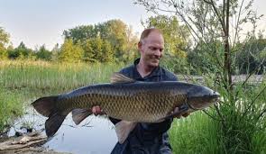 Image result for Ctenopharyngodon idella