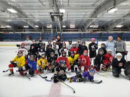 Image result for Sheffield Wildcats Rink Hockey and Roller Skating Club